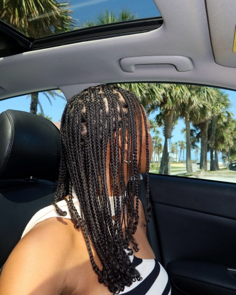Mini braids on natural hair